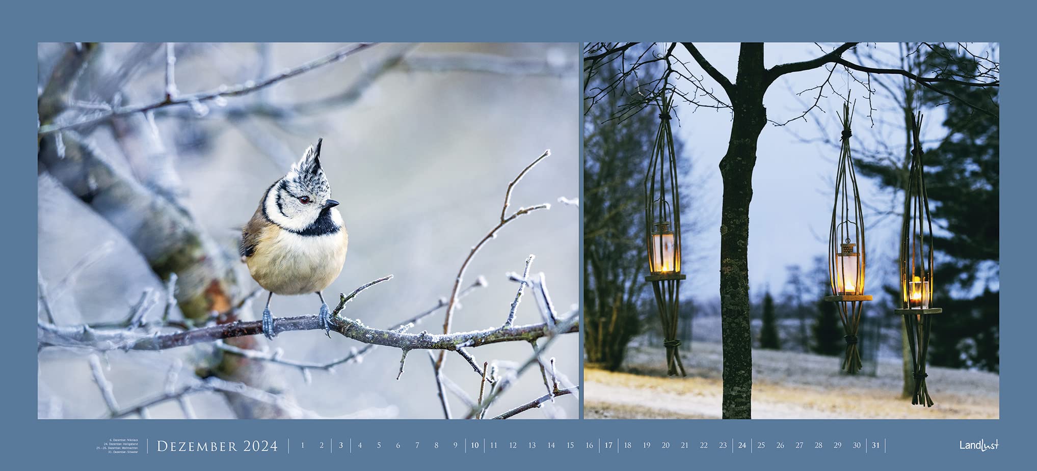 Landlust Panorama: Garten-Kontraste 2024 Wand-Kalender - Panorama-Kalender - Fotografie - Gartenkalender 110x50