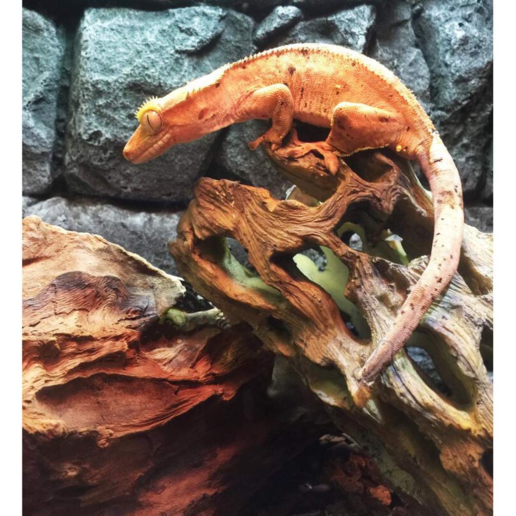 Escondite de reptiles con agujero para árbol, caja de cueva para reptiles, decoración de esquina de hábitat, escondites de tortugas, lagartos y serpientes, accesorios para cajas de reptiles, adornos