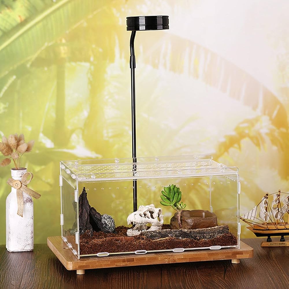 Amazon.co.jp: 爬虫類 飼育ケース 昆虫飼育ケース アクリル製 無色透明