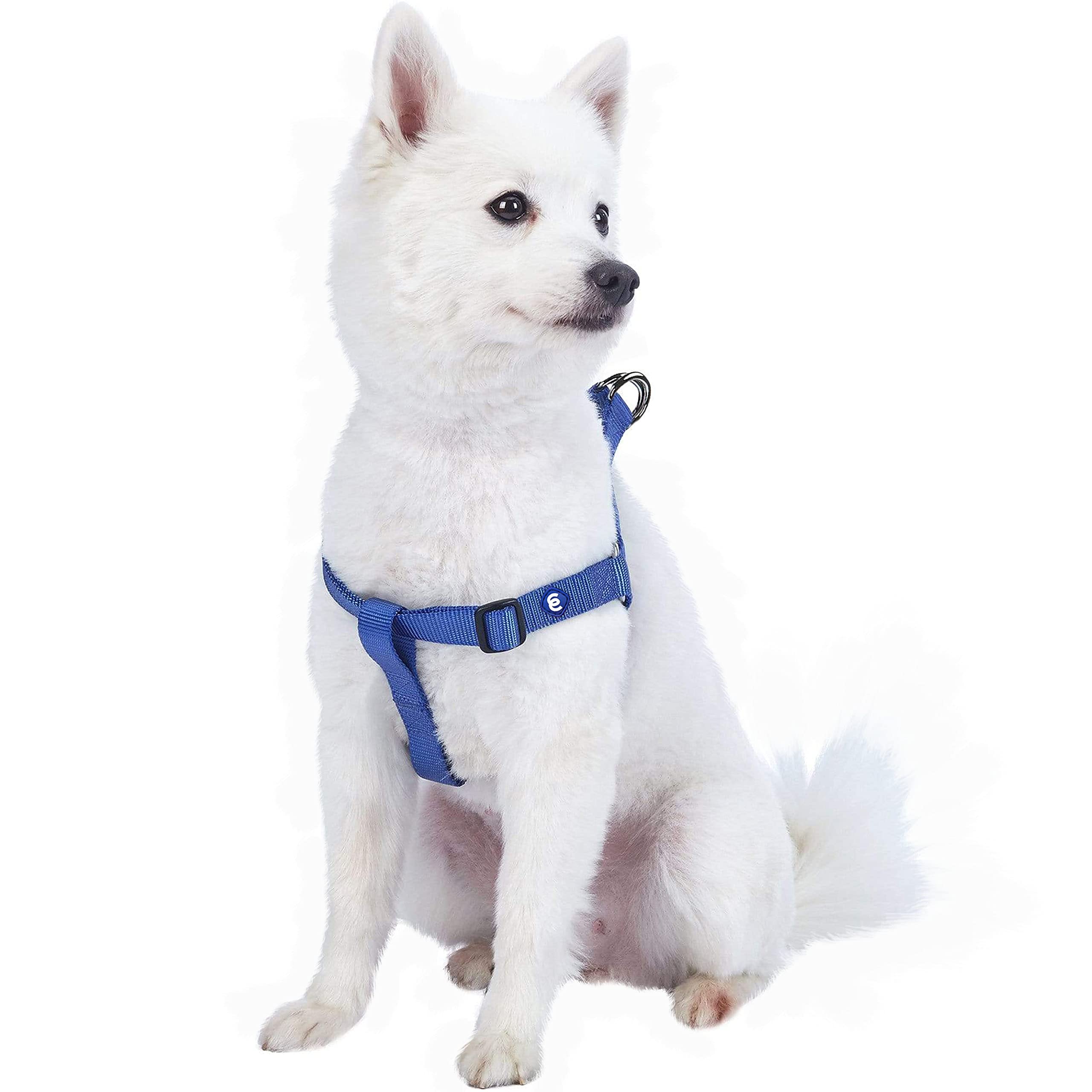 Blueberry Pet Essentials Step-in Dog Harness, Medium Size | Adjustable Marina Blue Vest | Classic Solid Nylon for Boy & Girl Dogs, Chest Girth 20" -26