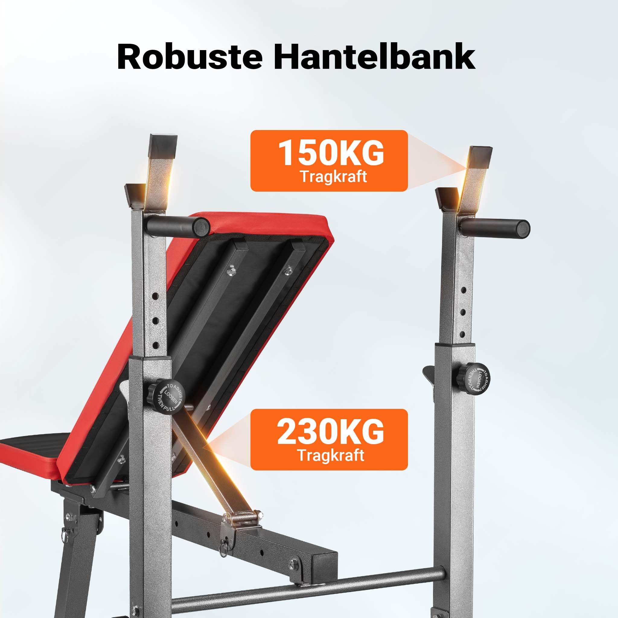 Wiltec Trainingsbank