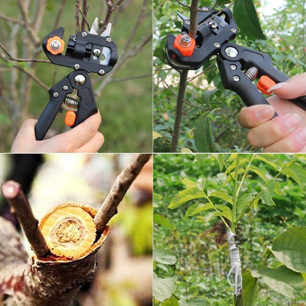 Garden Graft Tool, nożyce do cięcia kropel z 2 dodatkowymi ostrzami i 2 tasiemkami