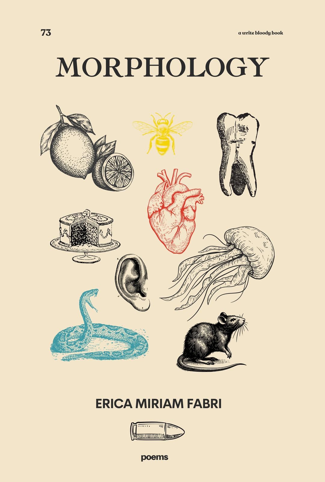 Morphology Paperback – April 25, 2025