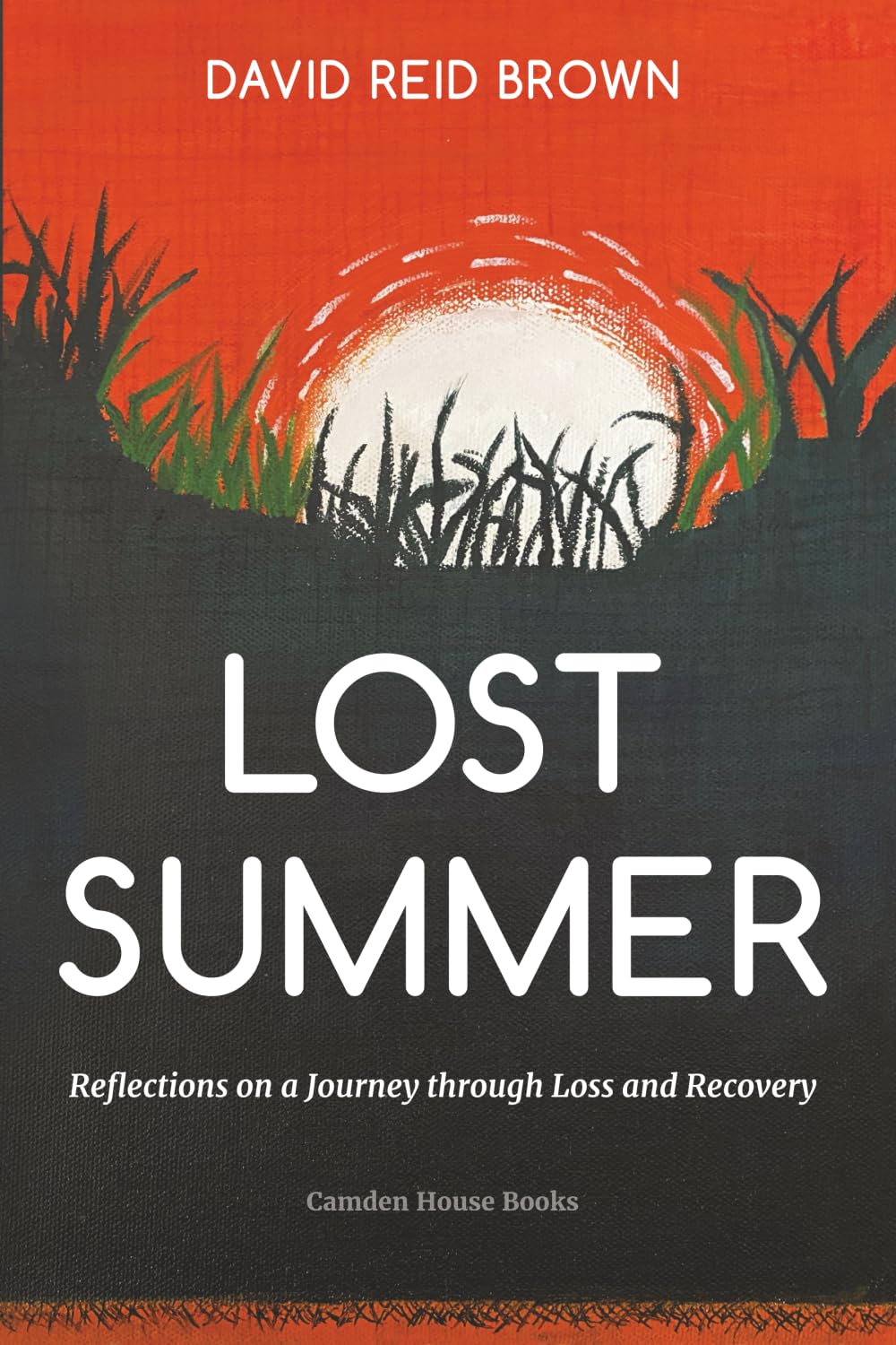 Lost Summer: Reflections on a Journey through Loss and Recovery