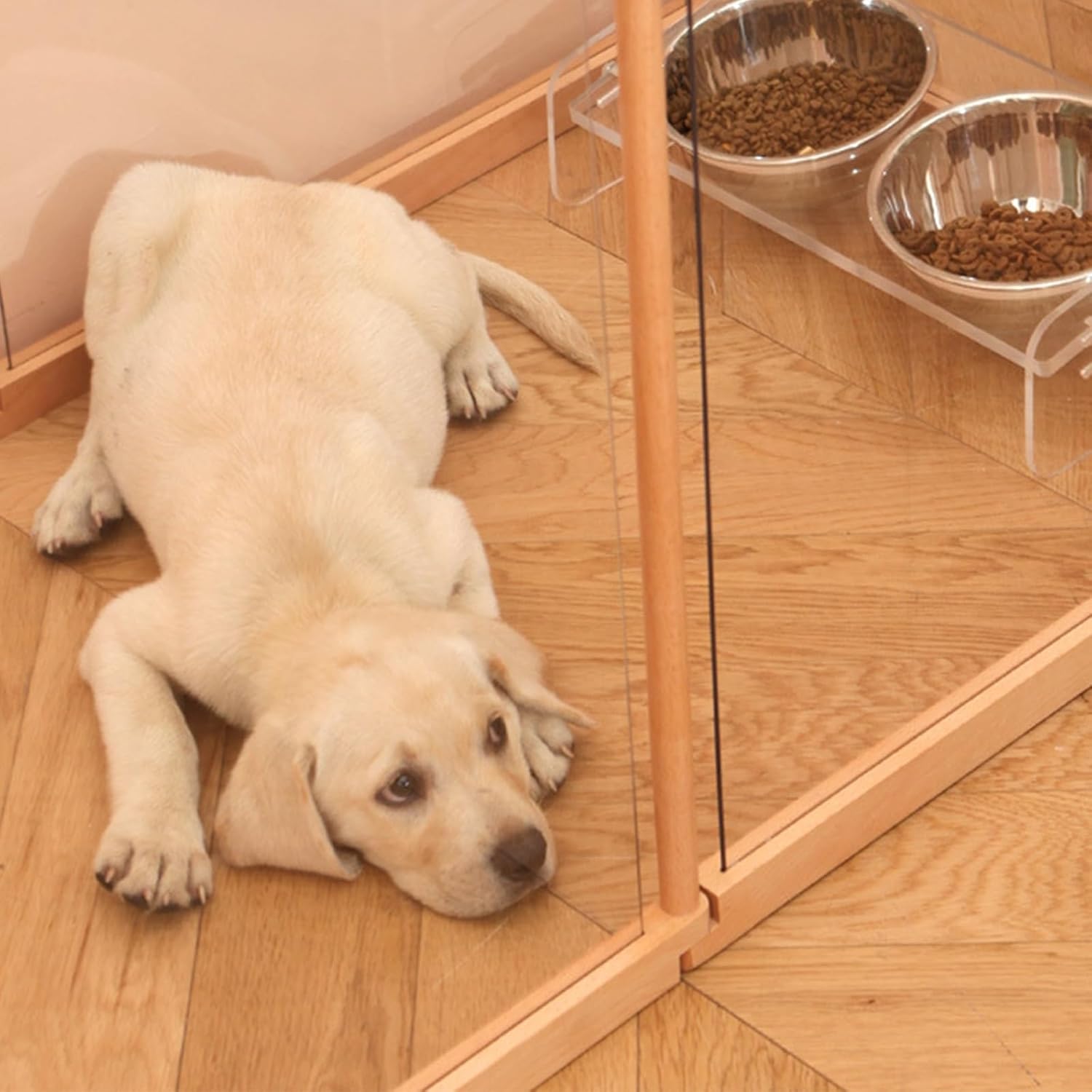 Dog Cat Playpen,Indoor Dog Playpen,Home Indoor Dog Pet Gate with Door,3mm Thickened Shockproof Transparent Panel,for Hamsters, Rabbits, Hedgehogs,Small and Medium(A,12pcs)