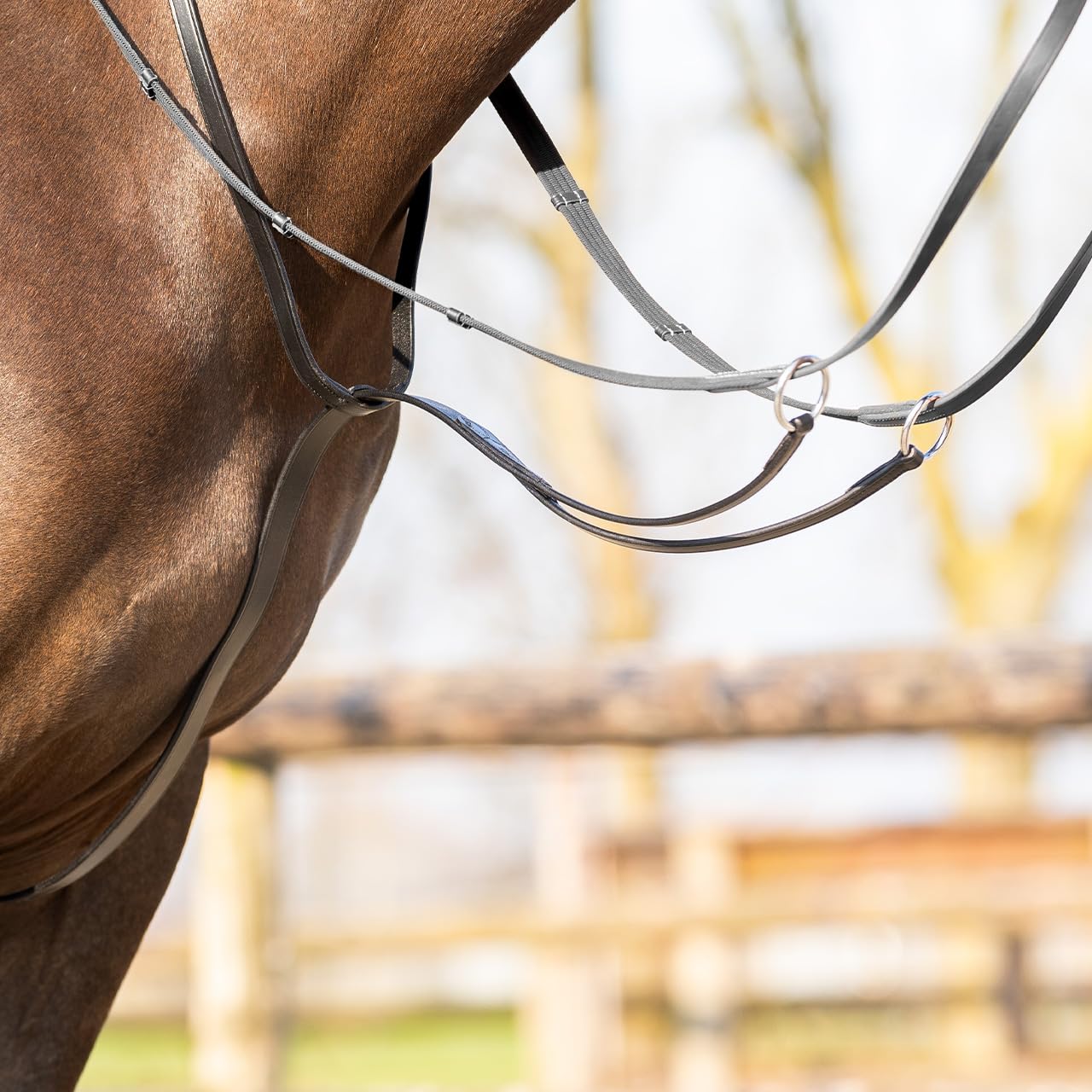 NETPROSHOP Leder Martingal mit Edelstahlschnallen 2-Fach verstellbar Shetty Pony Cob Full, Groesse:Shetty, Farbe:Schwarz