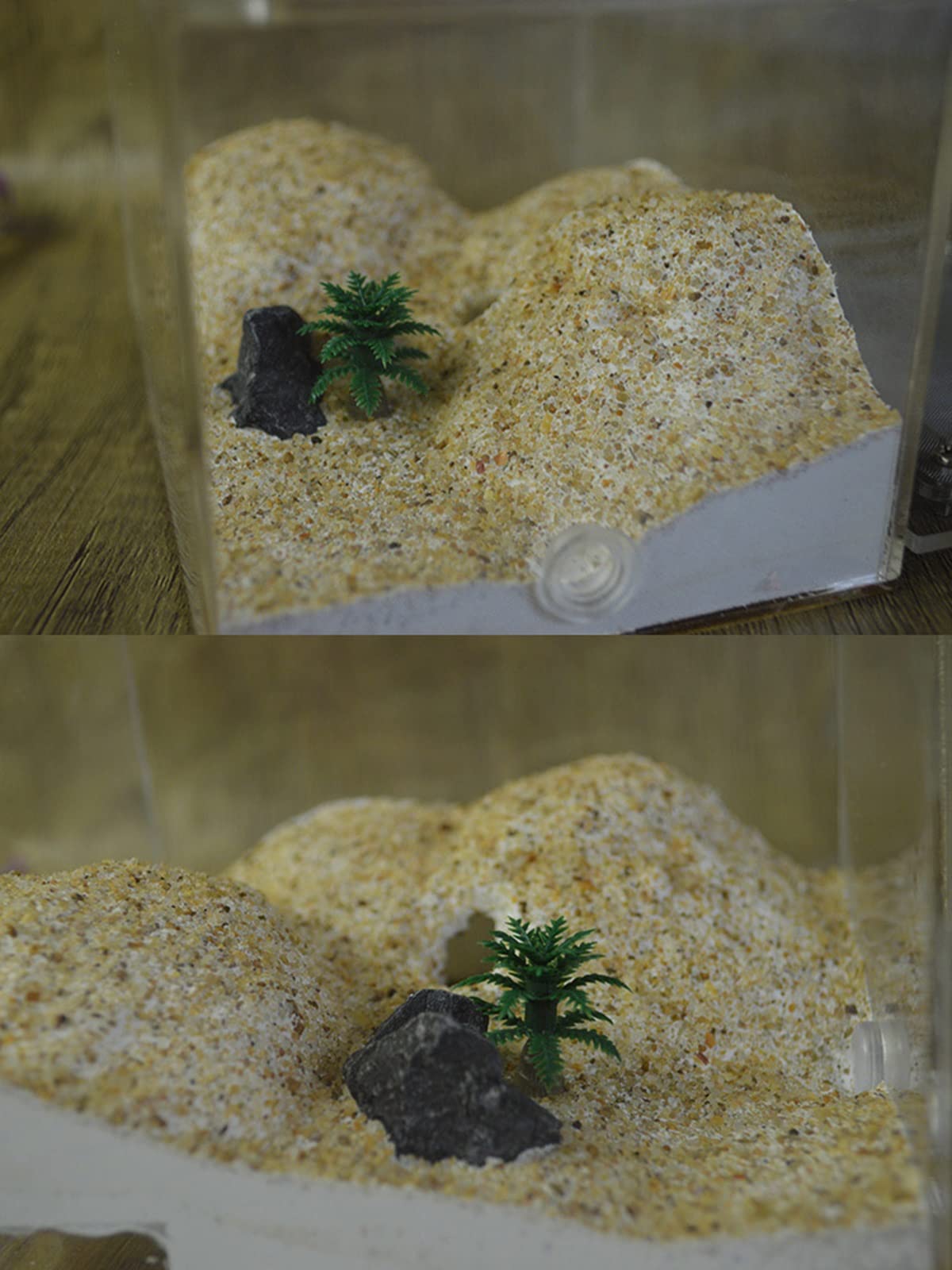 Nido Hormiga Gypsum AntHouse Ecológico para Granja Hormigas, Castillo Plástico Transparente Insecto Natural Ecología Caja Nido para Niños Estudio Educativo Juguete Educativo Observa En Vivo