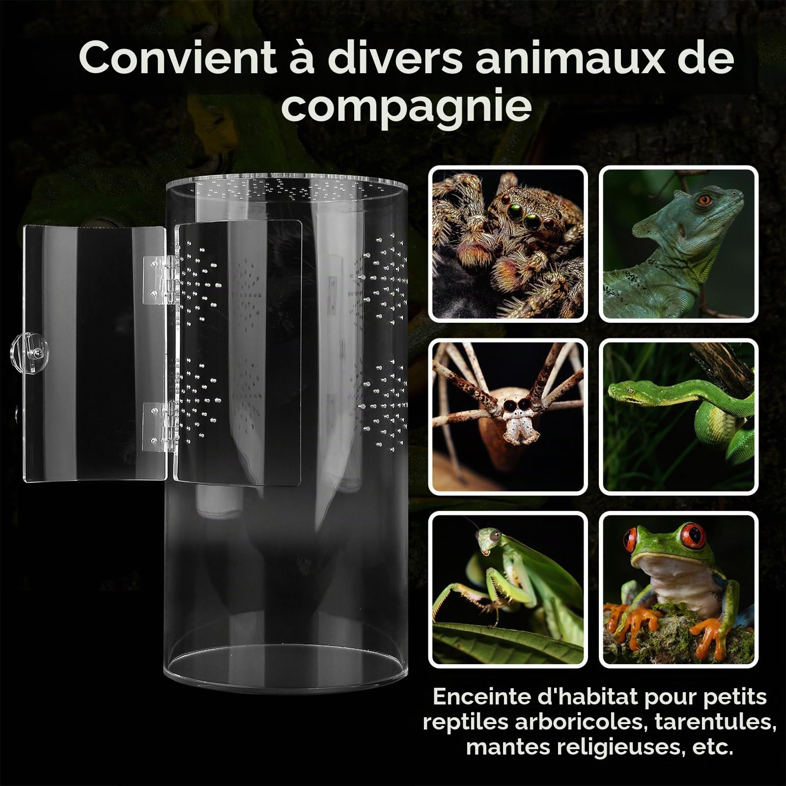Terrariums pour Reptiles, Mini-Terrarium Cylindrique Vivarium en Acrylique étanche avec Porte Avant pour Petits Grenouilles Araignées Sauteuses Mantes Religieuses Geckos Et Escargots