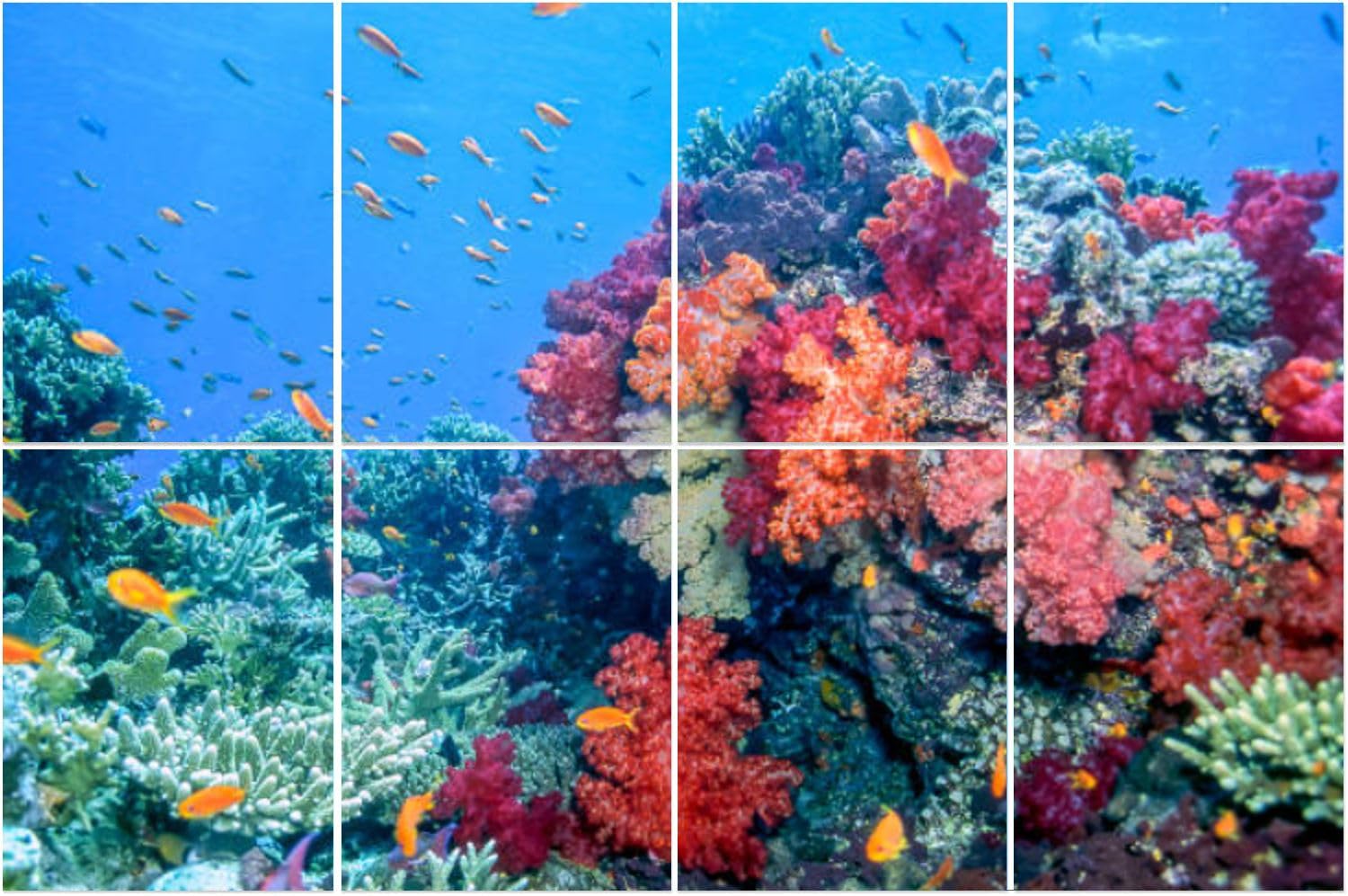 8 Pack Art Acoustic Panels Dendronephthya isoft corals Nephtheidae Soundproof Wall Panels, 32"x48" Decorative Sound Absorbing Panels, Acoustic Treatment for Home, Office