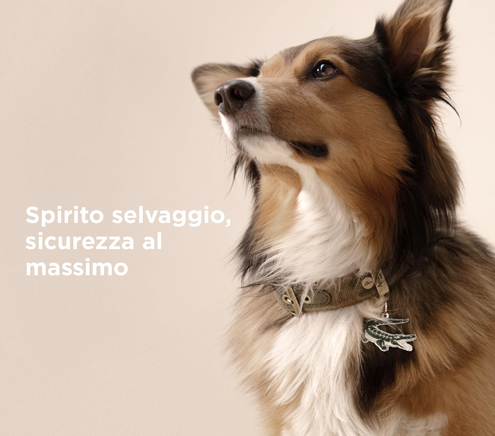 My Family Placa de Identificación personalizado para perro Made in Italy, Conejo, Placa de identificación de Perro Grabada Gratis Aluminio, Metal Esmaltado a Mano, Colección Wild