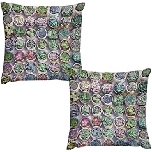 Pack of 2 Colorful Succulent Throw Pillow Covers, Cactus Pottd Plant Decorative Cushion Covers for Couch Sofa Bed Home Decor, 12x12 inch