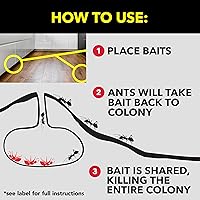 Vista 7 de Raid Cebos asesinos de hormigas, para uso doméstico, mata la colonia, mata hormigas durante 3 meses, resistente a los niños, 4