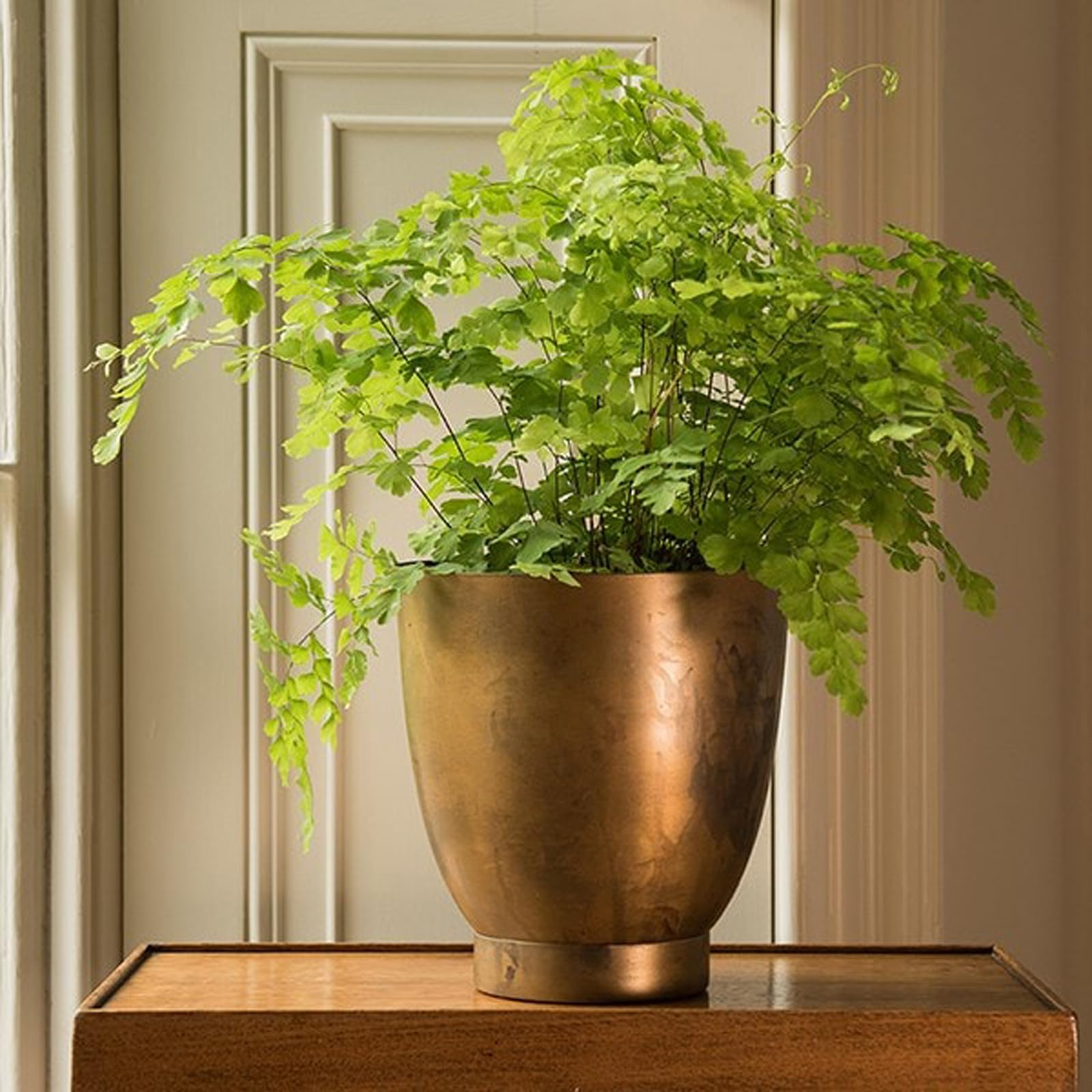 Crocus Gold Collection 19Cm Metal Flower Pot Planter With Brass Finish Decorative Tilting Ornate Design Indoor