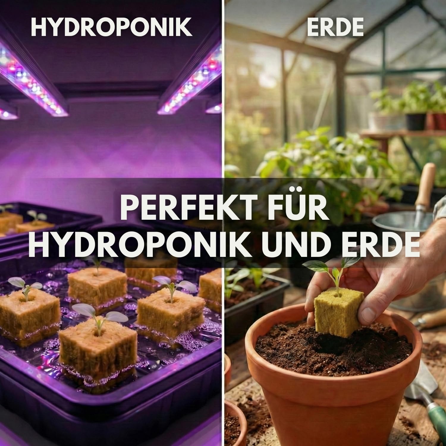 500er-Pack Hydroponik-Steinwollwürfel (2,5 cm) für Keimung und Stecklinge, Belüftetes Substrat für Schnelles Wachstum, Ideal für Aussaat, Innen- und Außenbereiche