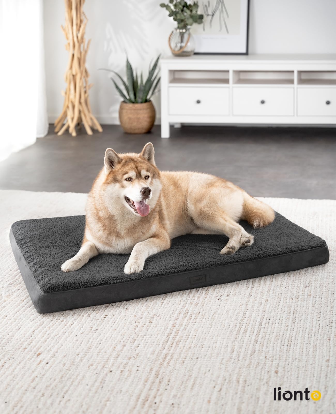 lionto Cama ortopédica para Perros, 112×81x8 cm, Resistente Cojín para Perros con Suave Felpa, Funda Lavable, Antideslizante, Impermeable, para Perros pequeños y Grandes y Gatos, Negro
