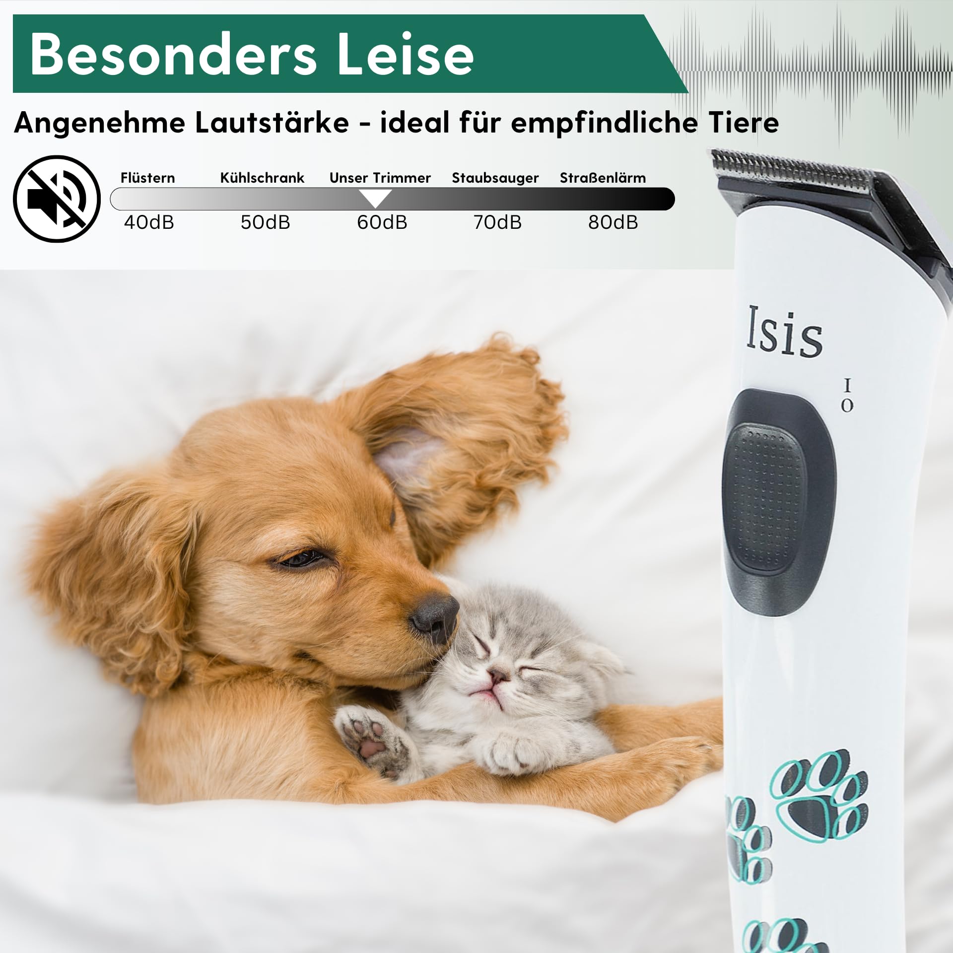 Agrarzone Edition Isis Tondeuse pour pattes de chien – Avec tête de rasage de rechange – Tondeuse pour chien légère et sans vibration pour des travaux de détail fins – Tondeuse pour pattes de chien