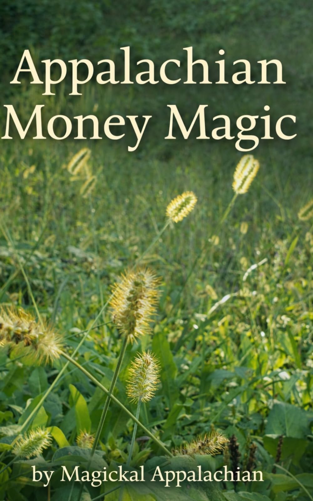 Appalachian Money Magic