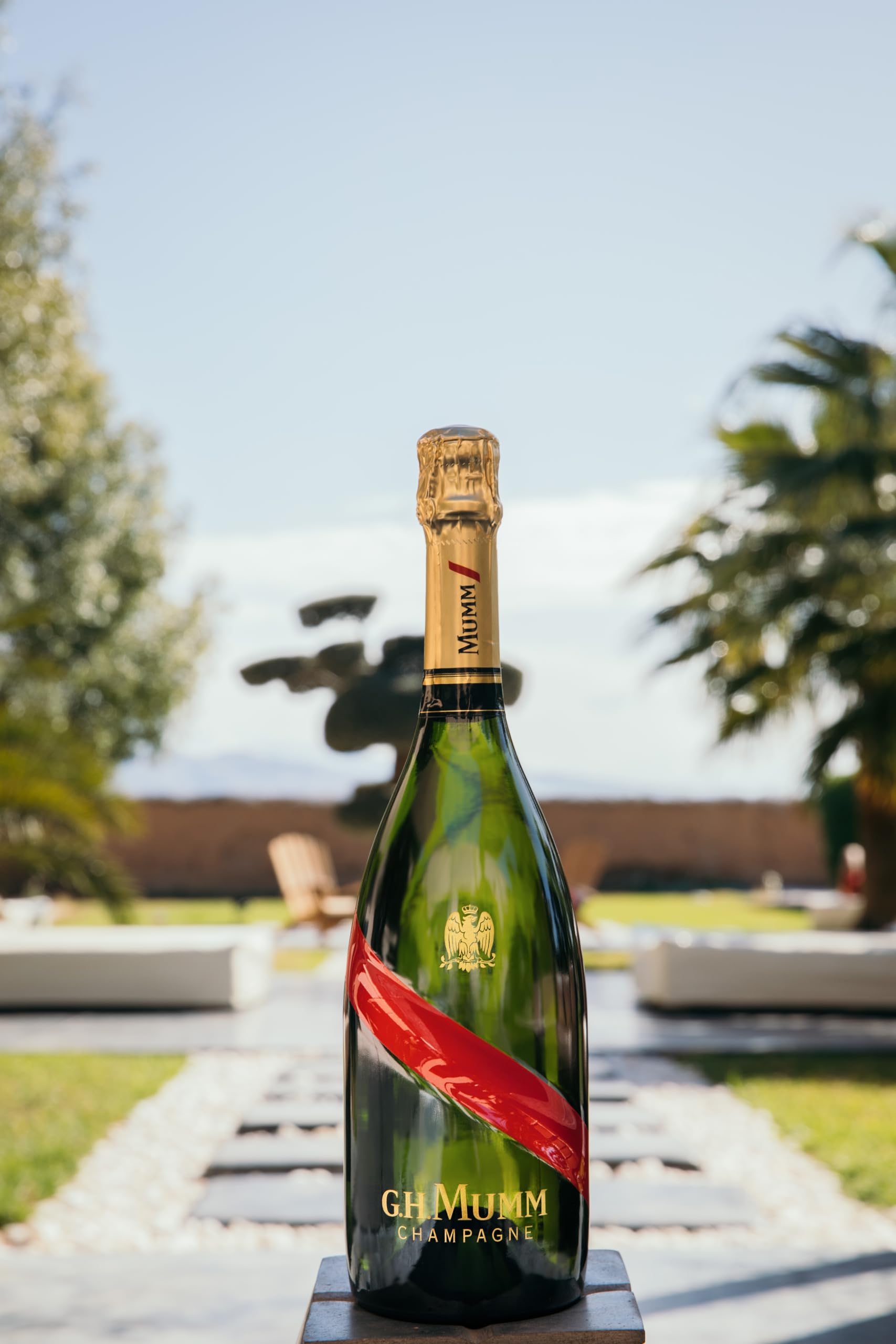 Mumm Cordon Brut Champagne con Estuche, 750 ml