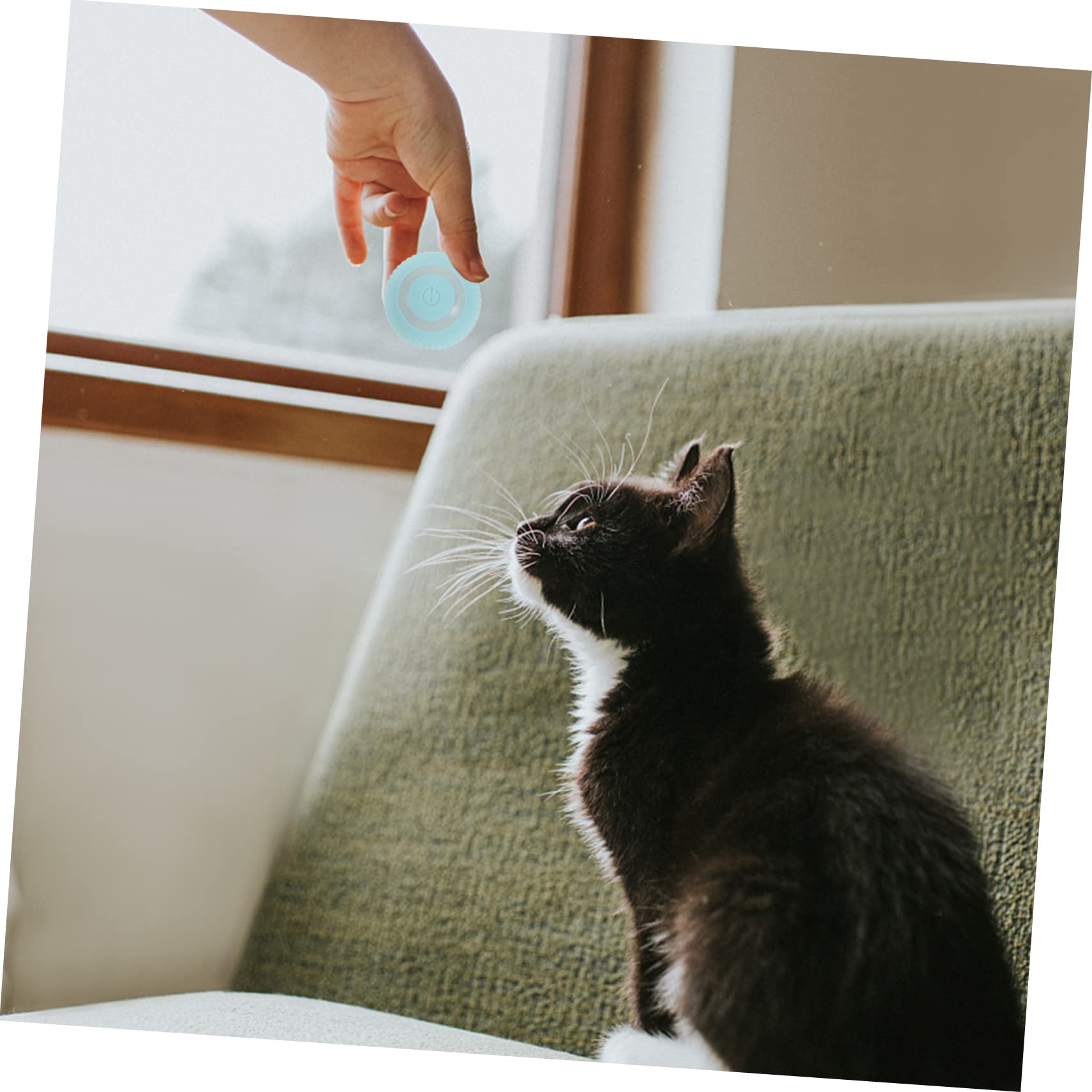 Happyyami 3pièces Jouet Interactif pour Chat Boule à Chat Intelligente Joueur à Mâcher Résistant