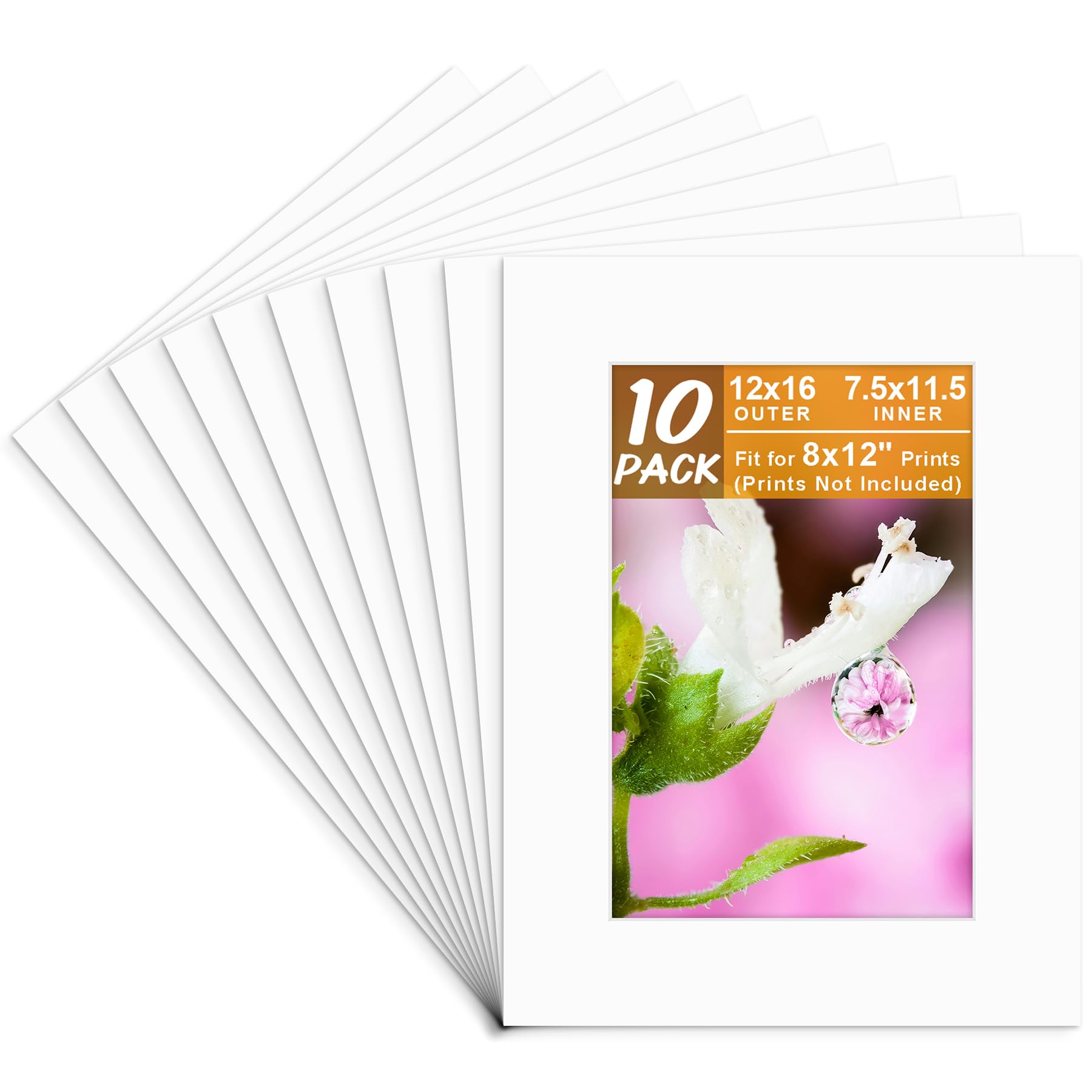 Golden State Art, Pack of 10, 12x16 Mats Cut for 8x12 - White Color Mat - Bevel Cut, Acid Free, 4-ply Thickness White Core - Great for Pictures, Photos, Frames, Artworks, Prints-image-43