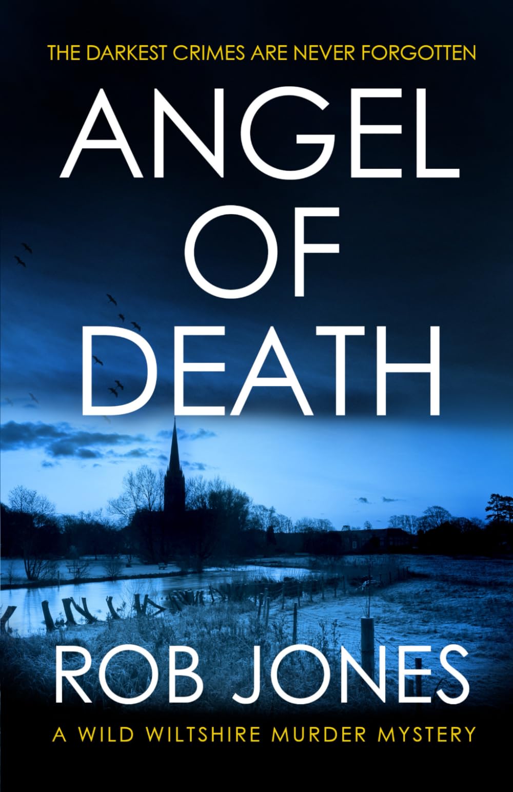 Angel of Death: A Chilling Wiltshire Crime Thriller