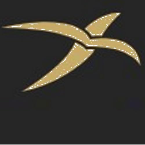 Bitlux Private Jet Charter