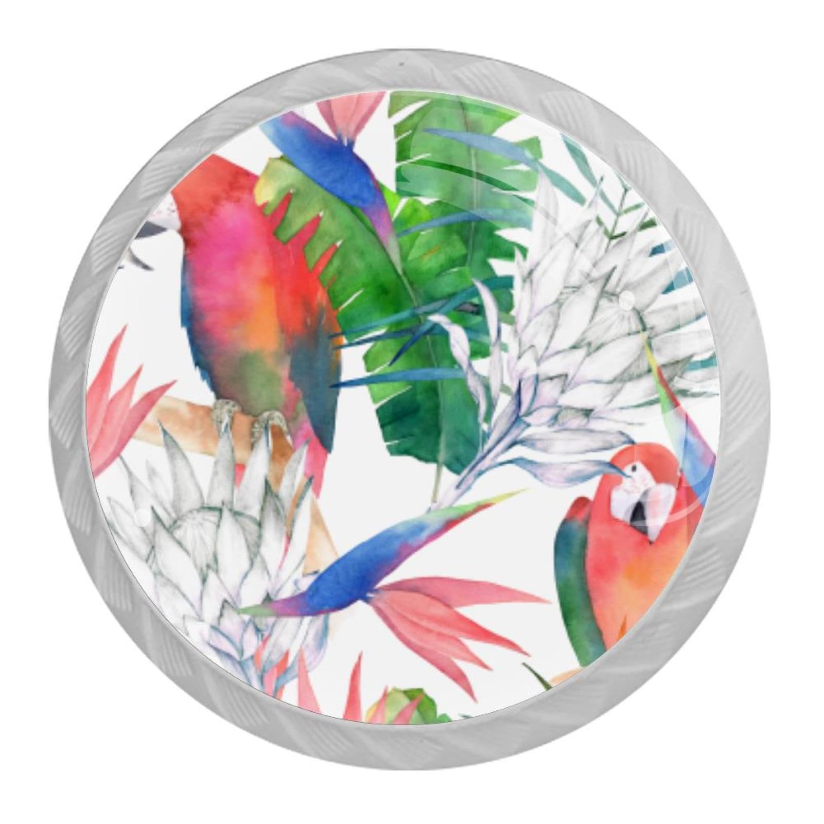 Tqmspg 4 Pieces Drawer Pulls Parrots Door Knobs Dresser Handles for Kitchen Wardrobe Cupboard Hardware Furniture