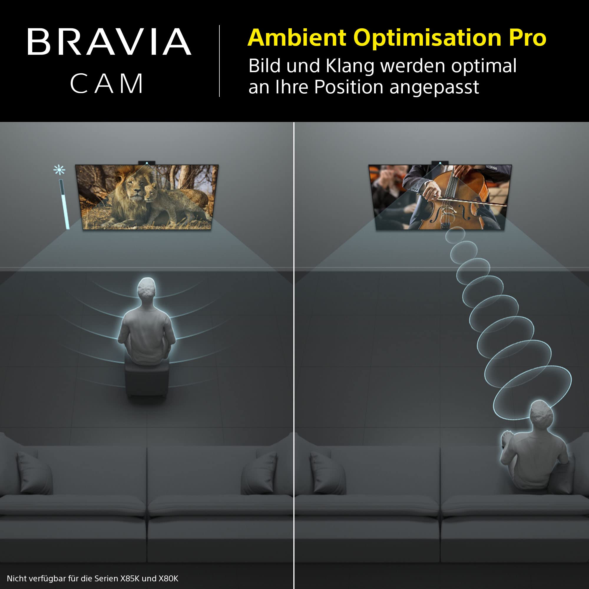 Sony BRAVIA CAM CMU-BC1 - TV-Zubehör für 2022 BRAVIA XR und X1 Web Cam USB-Anschluss schwarz