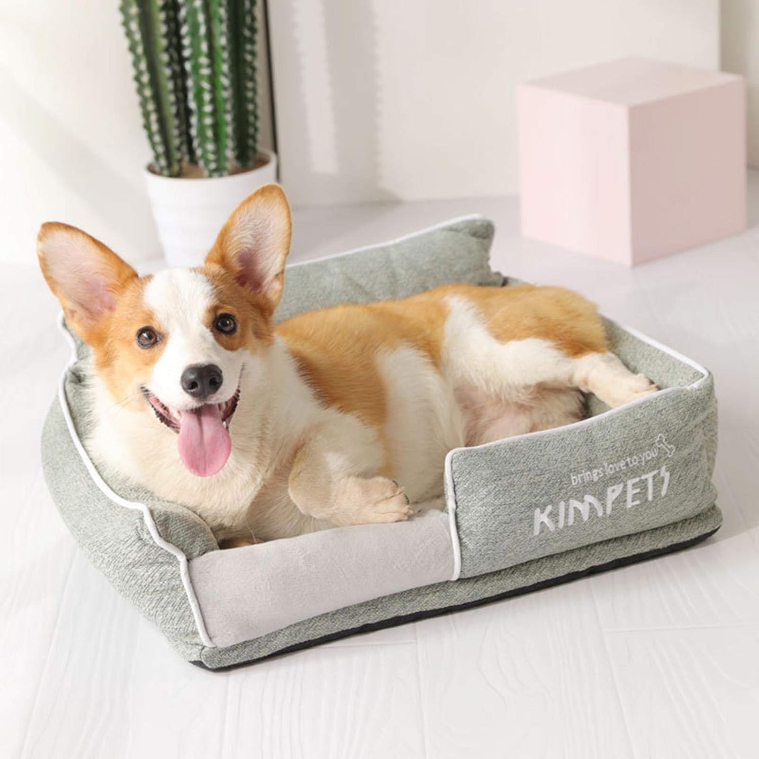 themed dog beds
