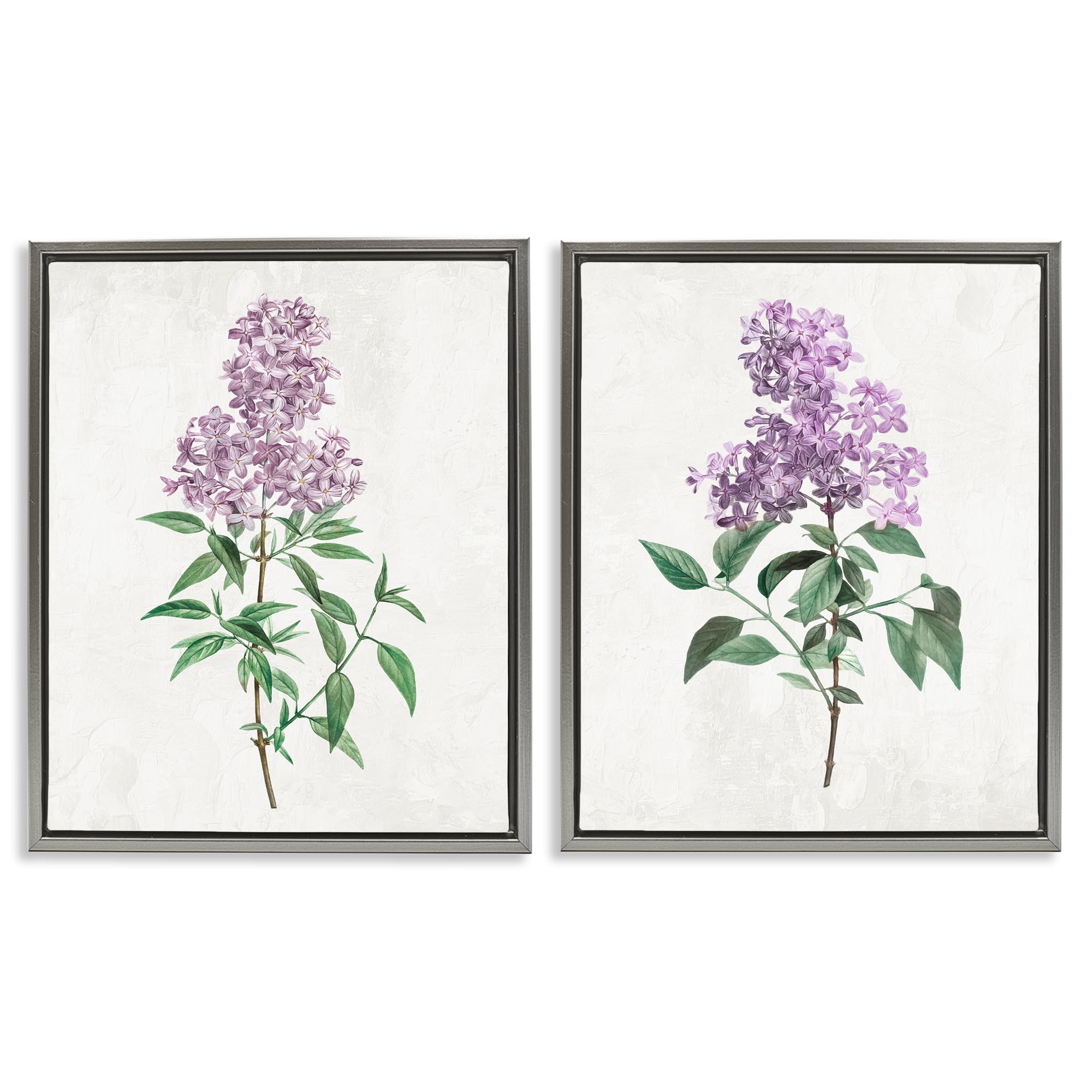 Stupell Industries French Country Lilac Blooms Floral Herbaceous Lilac Blooms Floral, 24 X 30 Inch Canvas In Floater Frame Set