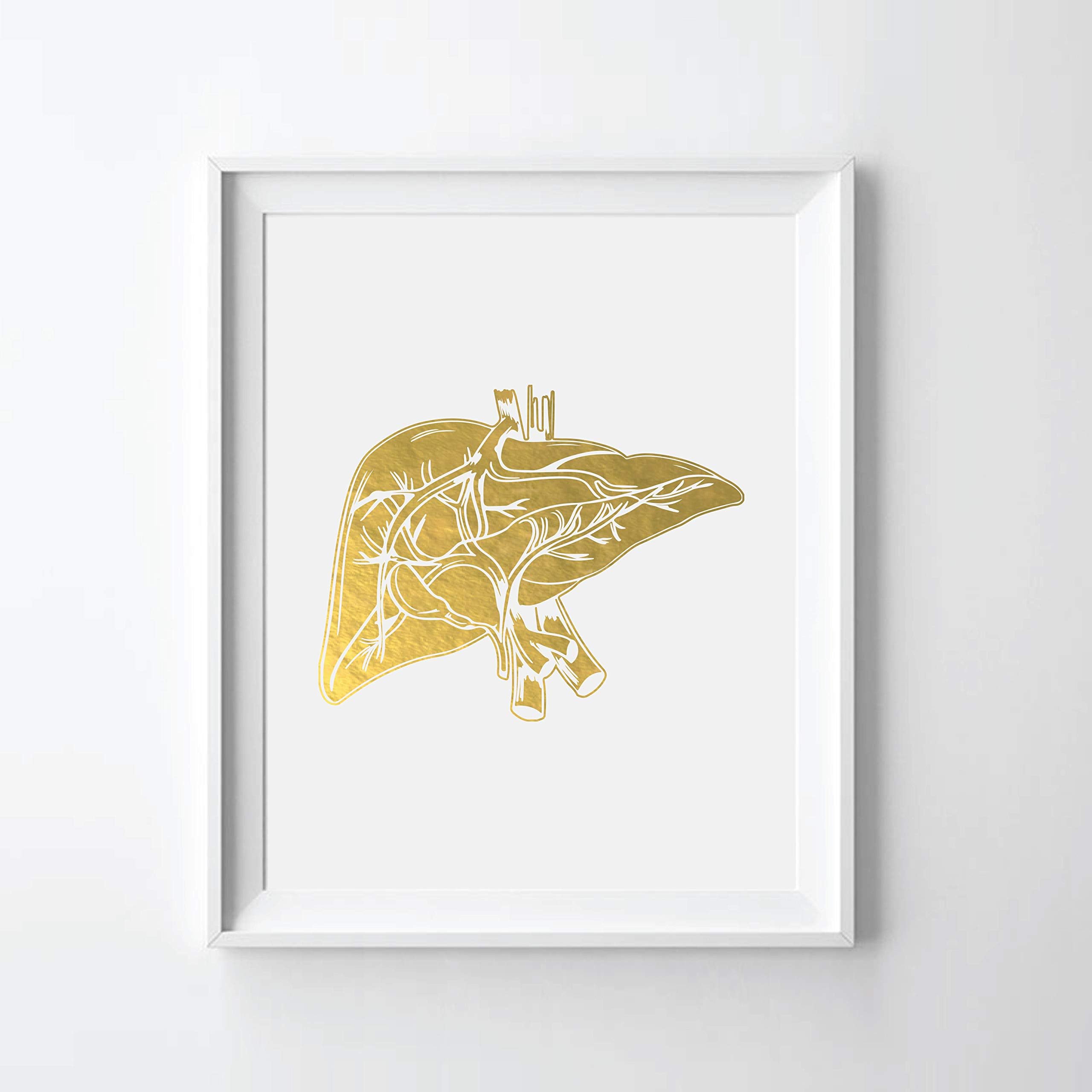 Human Liver Gold Foil Art Print Human Liver Anatomy Gold Foil Print (08" x 10" UNFRAMED)