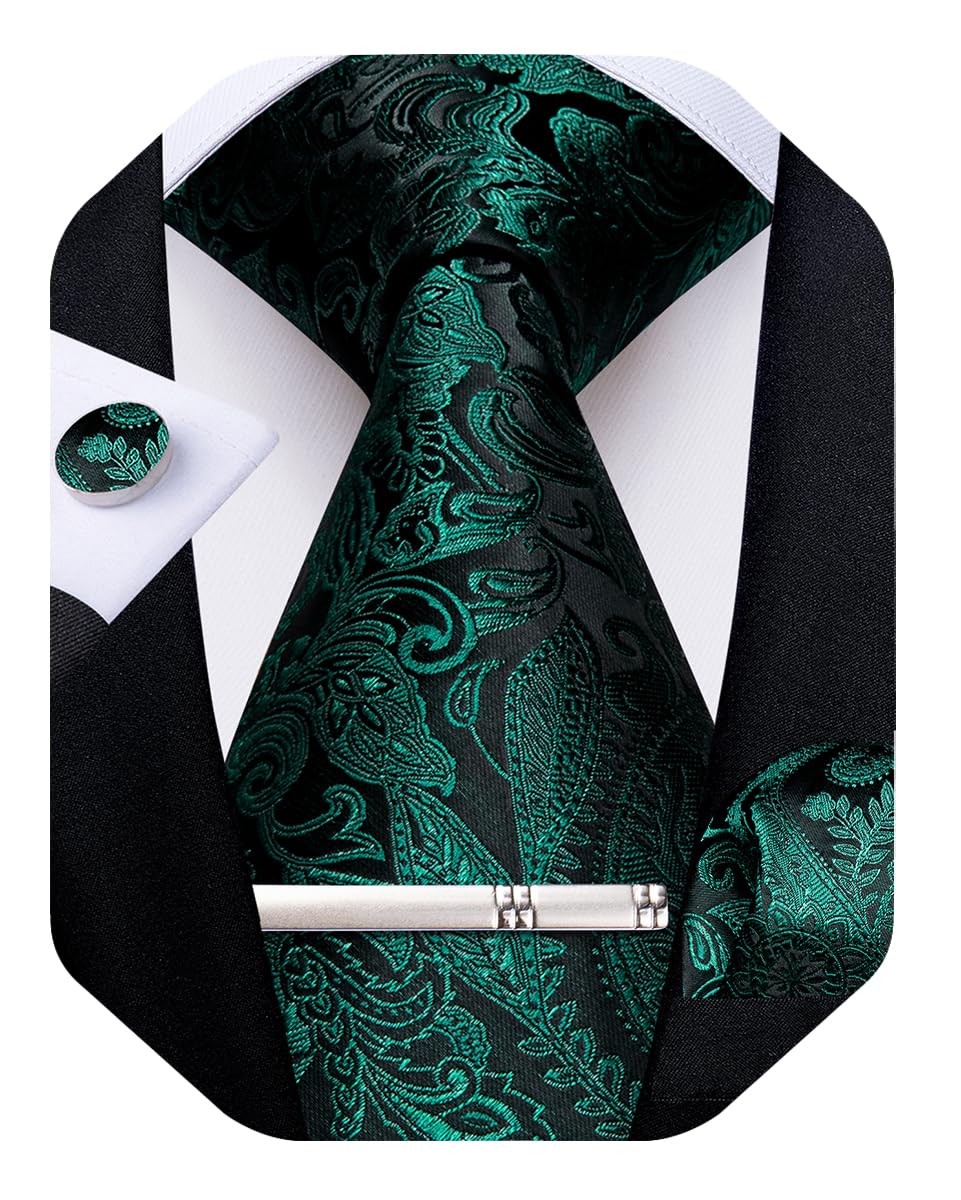 DiBanGu Silk Floral Ties for Men Woven Paisley Necktie
