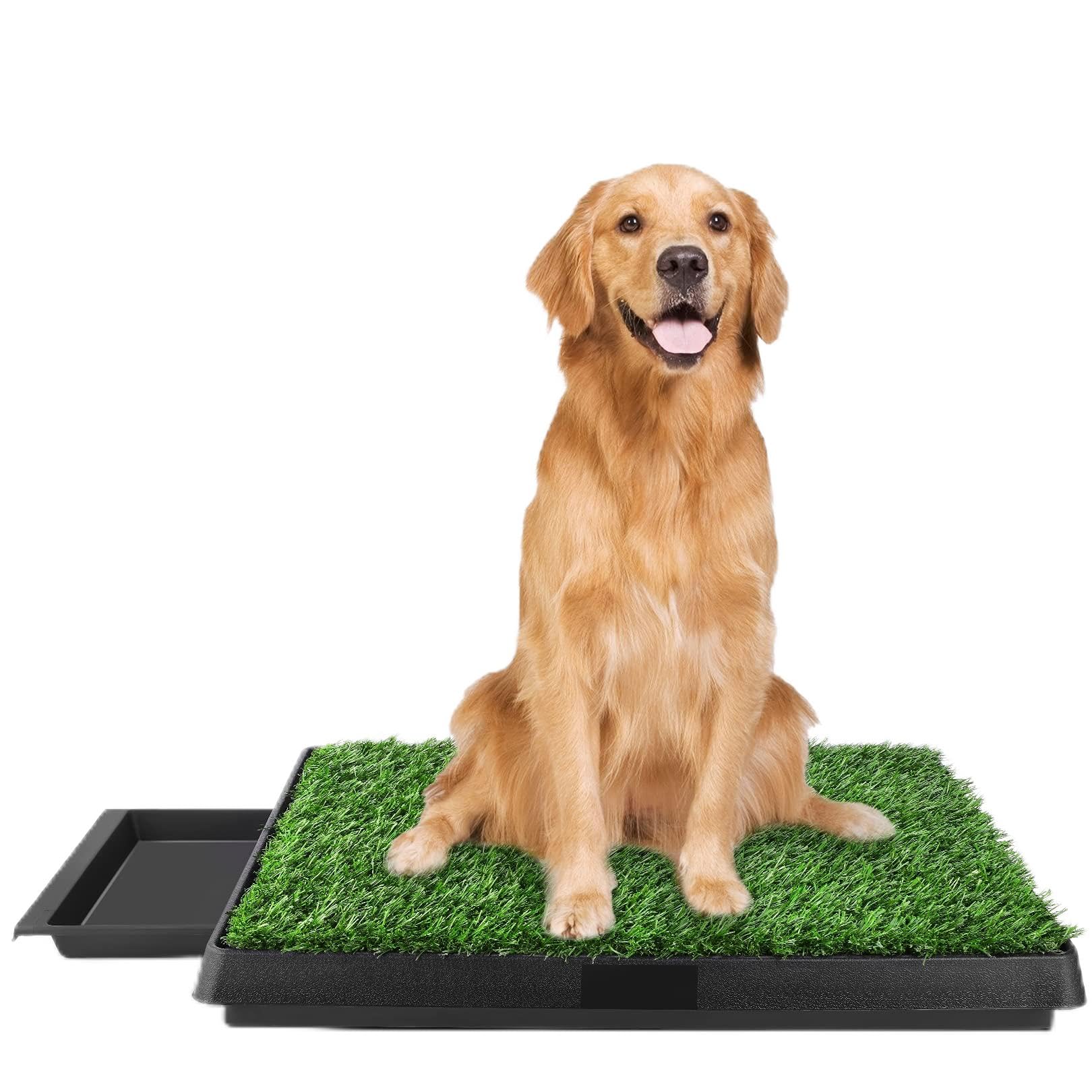 Toilettes pour chiens sur balcon et jardin avec double gazon Sailnovo