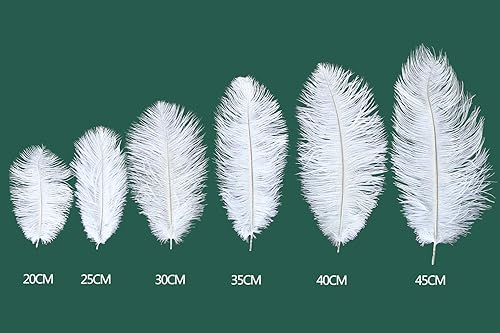 Miniatura 3 de Bseash Plumas naturales de avestruz a granel de 12-14 pulgadas (11.8-13.8 in) para centros de mesa de boda, arreglos florales y decoración del hogar