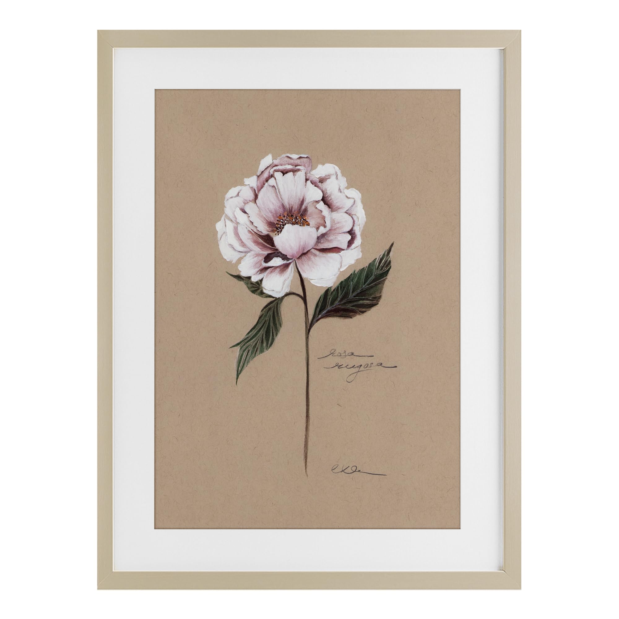 Affiche vintage encadrée haut de gamme sous verre Stupell Industries 50,8 cm