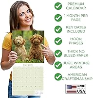 Vista 1186 de Razas de Perros 2017