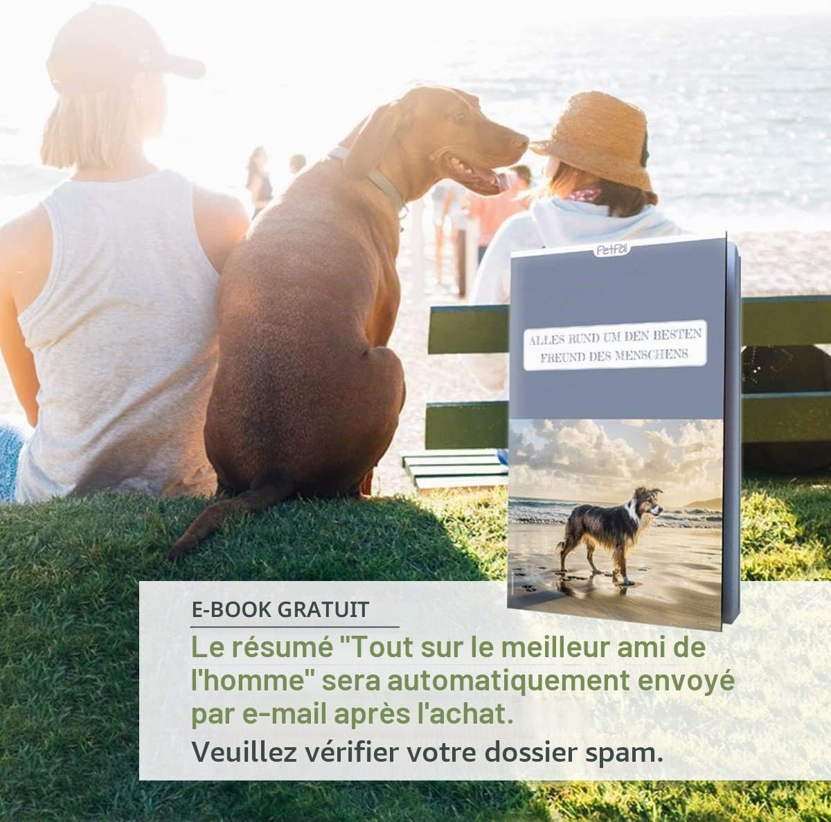 PetPäl Saucisse pour Chiens TuboSnack - Lot de 12: Crème de Saumon en Tube - Premium Friandise naturellement délicieuses sans Céréales, Sucre, Sel - Aussi pour Les Chiots - Made in Germany