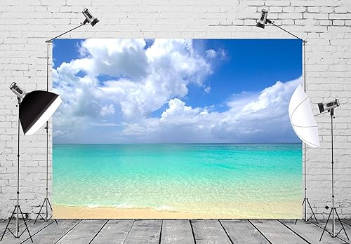 Miniatura 7 de Loccor Telón de fondo de playa de tela de 12 x 10 pies, palmera, laguna azul, tropical, isla de Maldivas, fondo de fotografía, tapiz de fondo de