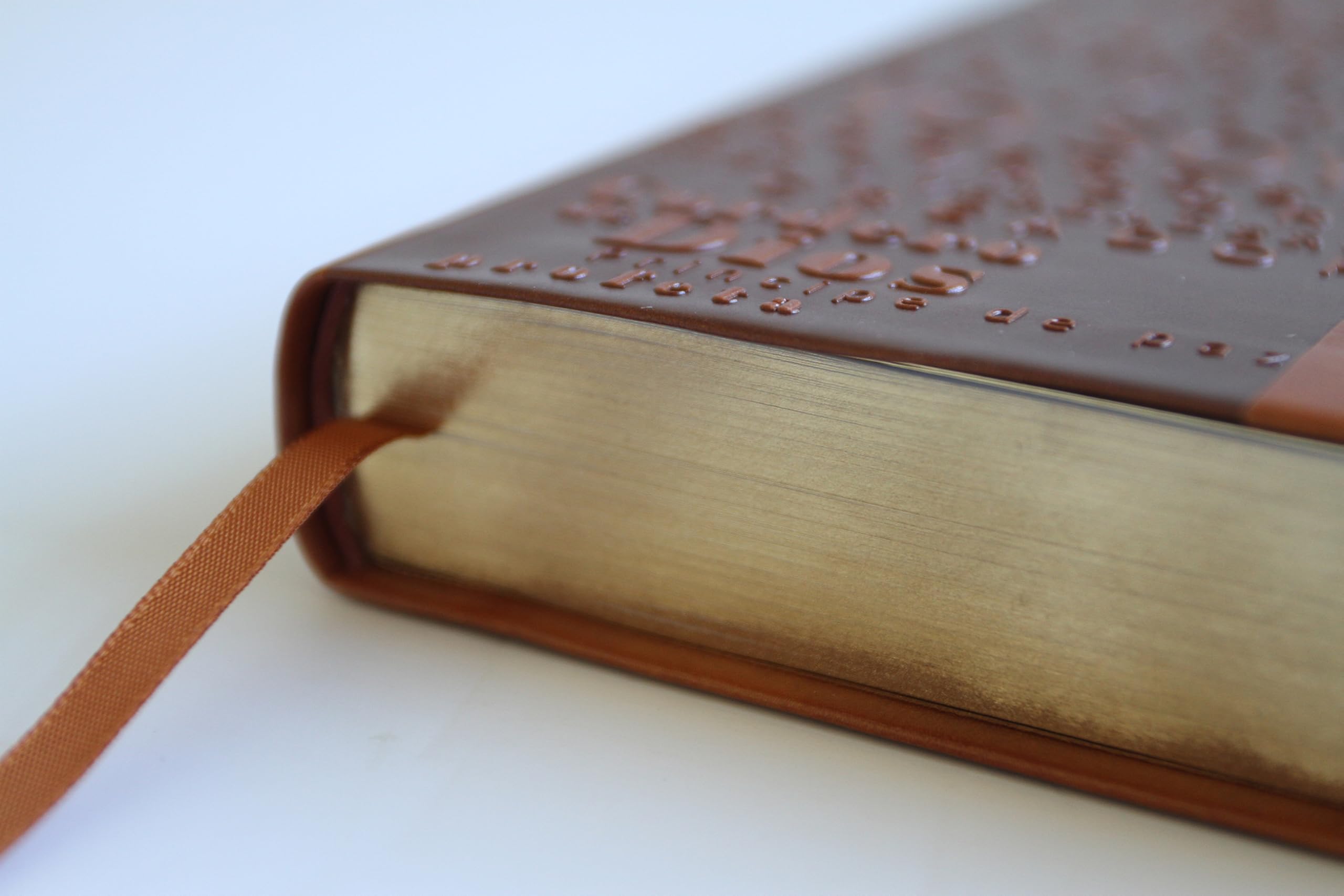 Santa Biblia / Holy Bible: Reina-Valera 1960, canelacon, simil piel, con nombres de Dios / Reina-valera 1960, Brown, Leathersoft With Names of God