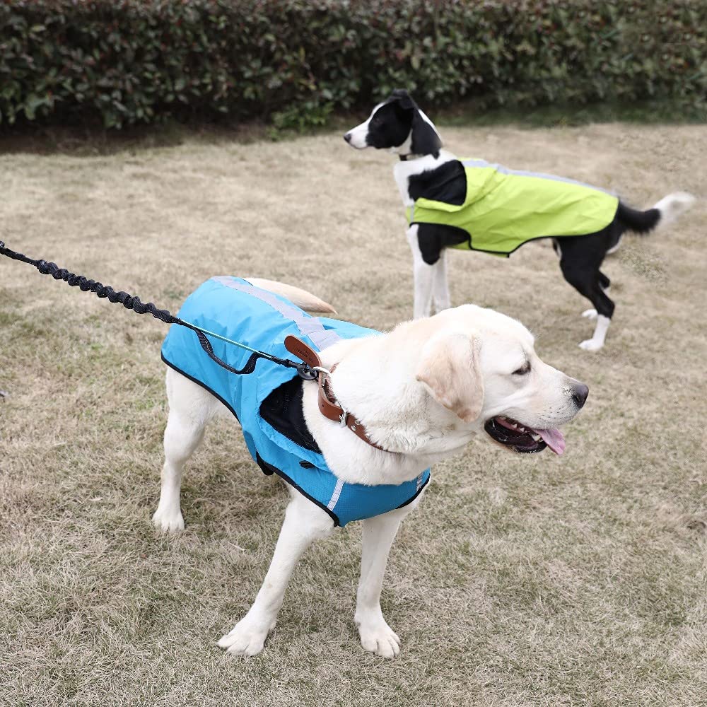 Impermeabile per Animali Domestici Abbigliamento per Animali Domestici Tessuto Impermeabile Riflettente di Sicurezza Abbigliamento per Cuccioli,Blu,XXL