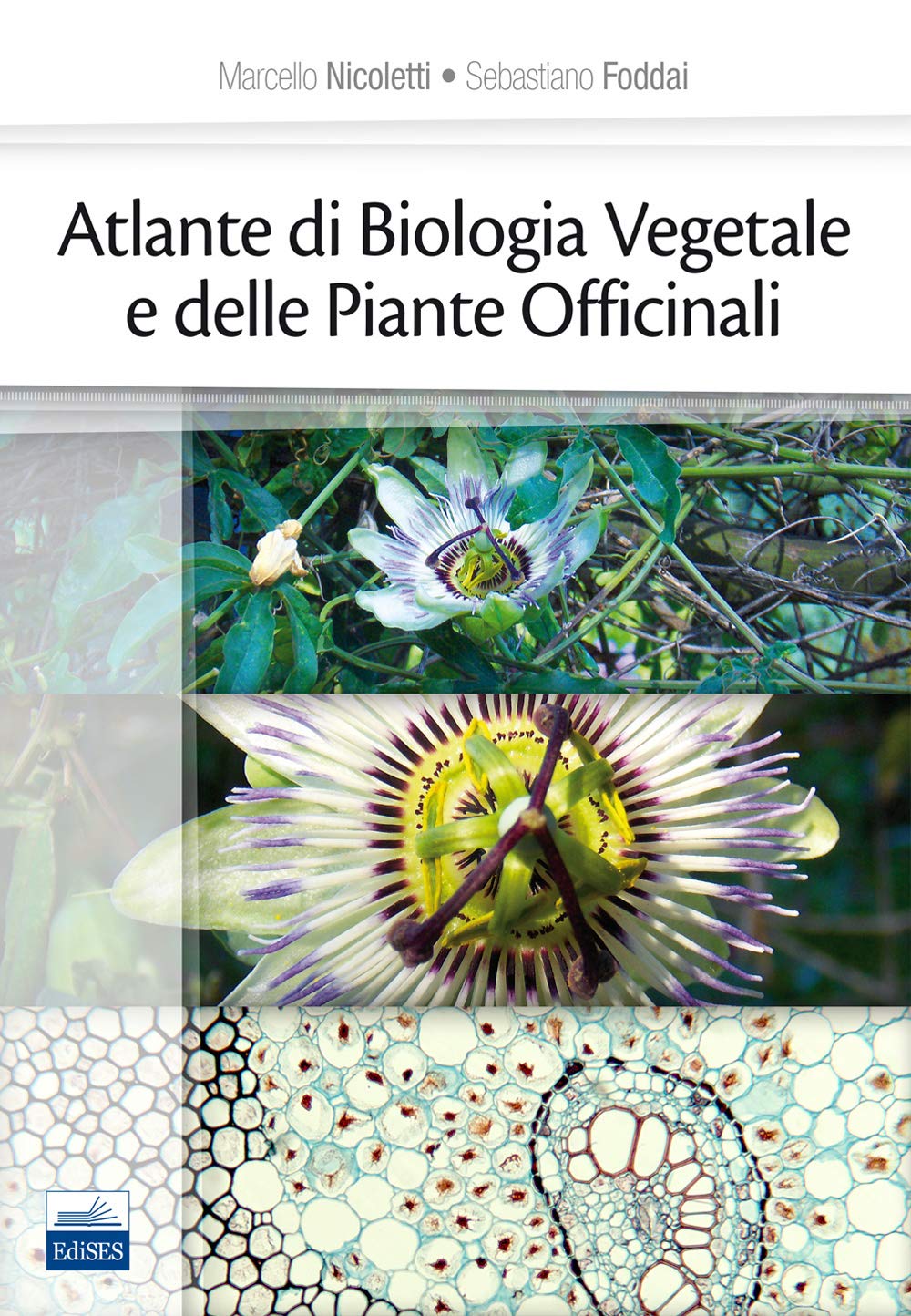 Atlante Di Biologia Vegetale E Delle Piante Officinali - 4
