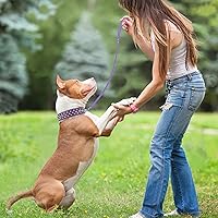 Vista 5 de Epesiri Collar de perro con pinchos y tachuelas con una correa, collares de cuero artificial con remaches, collar de cuero ajustable y duradero
