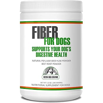 psyllium husk for dogs constipation