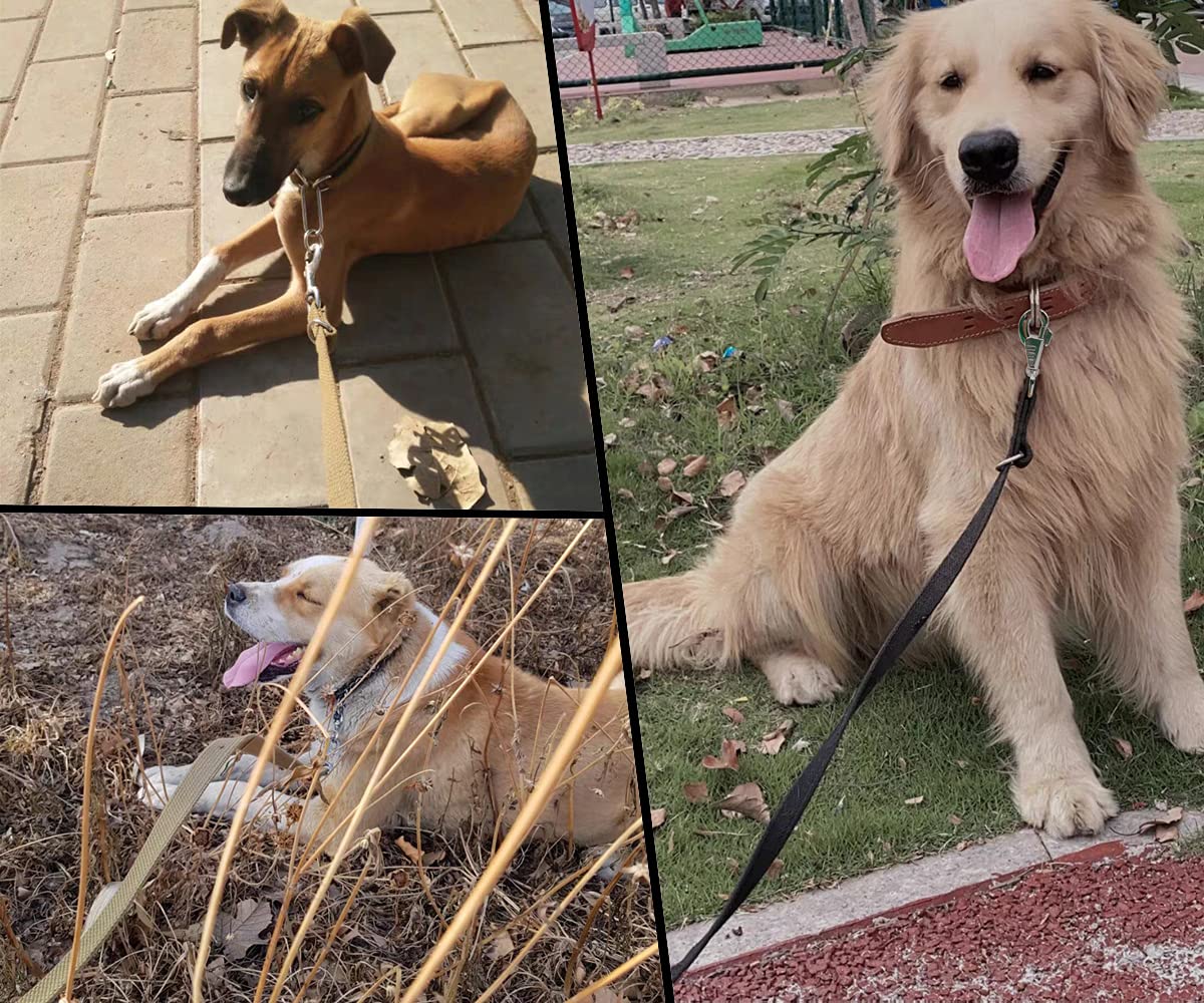 Correa táctica resistente para perros de 6 pies, estilo militar, nailon grueso, fuerte, K9, para caminar, caza, senderismo, color marrón coyote