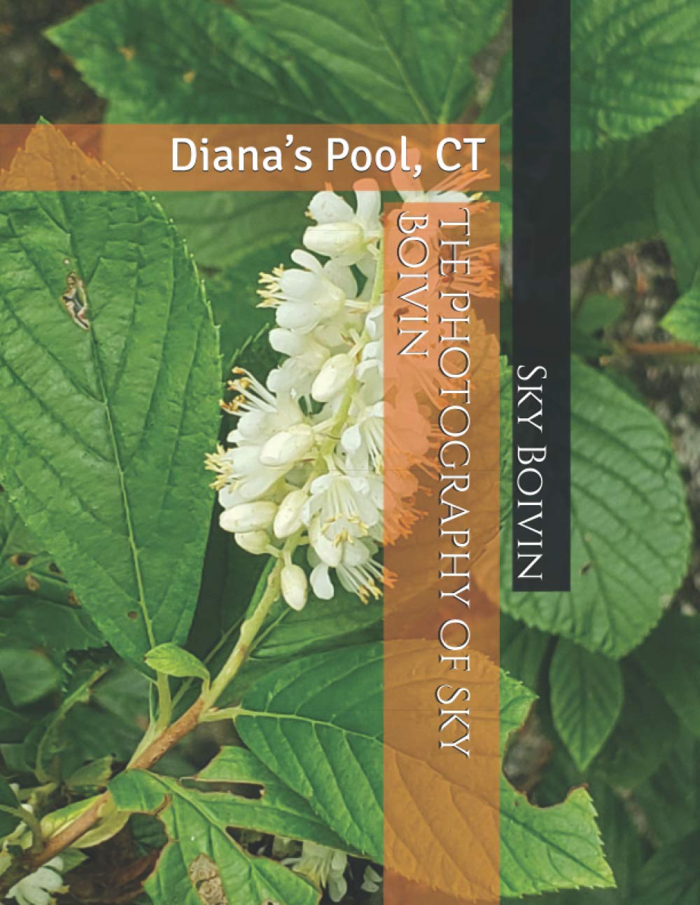 The Photography of Sky Boivin Diana’s Pool CT poster photo paysage américain original