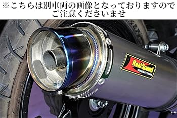 Amazon | Realspeed (リアルスピード) スズキ 09アドレス V125S
