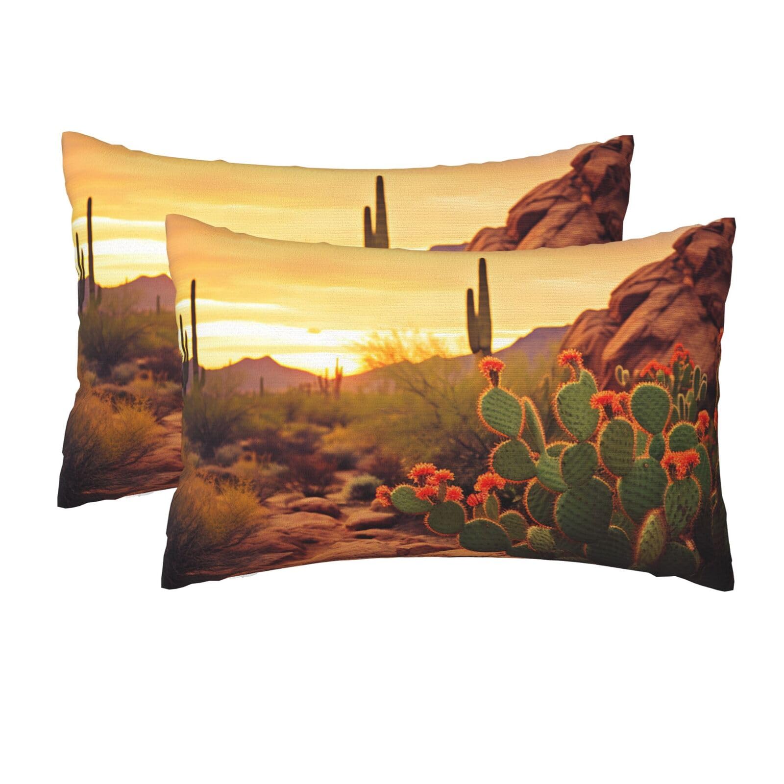 2 Pack Queen Pillow Cases with Hidden Zipper, Soft Breathable Pillow Covers for Hair and Skin, Cactus at Sunset Poster Pillowcases 20"x30" Bed Pillow Protectors Cover for Sleeping Gifts