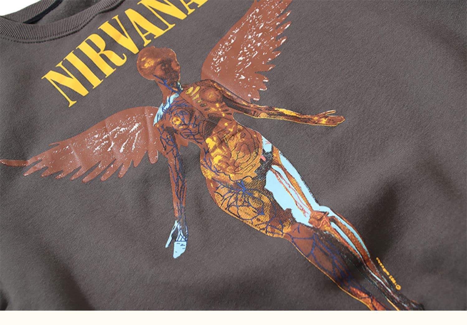 Moda Hip Hop Felpa per Unisex Adulti Adolescenti Nirvana Ala Stampa Manica Lunga Maglione Con Cappuccio Alla Moda Pullover Top