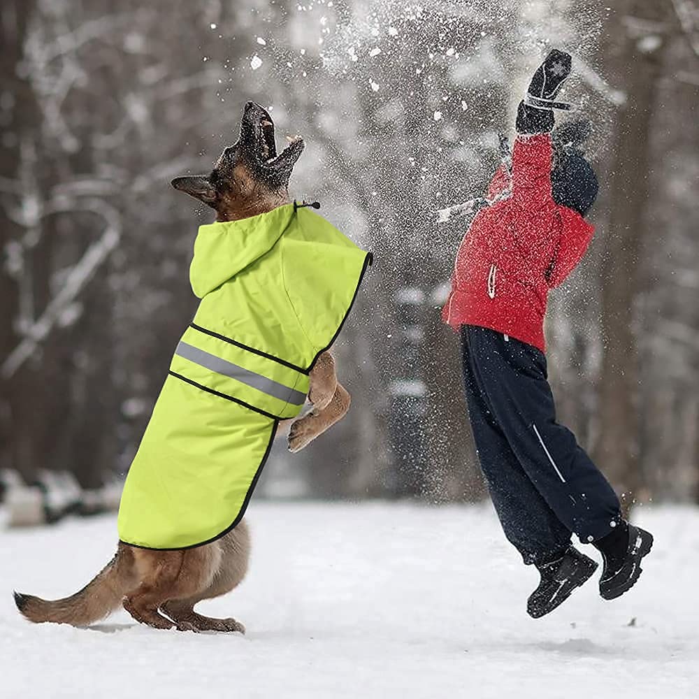 Chubasqueros reflectantes impermeables para perros, chaqueta de lluvia ajustable con capucha para perro, poncho ligero para perros (verde neón, mediano)