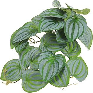 TEHAUX Decoração De Planta De Réptil Aquário De Vidro Decorações De Vidro Tanque De Lagartixa Videiras Suspensas Dobráveis Lagarto Plantas De Terrário Plantas De Terrário Suspensas